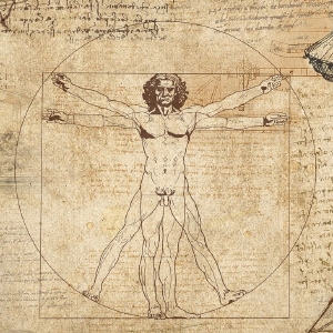 Illustration des vitruvianischen Menschen von Leonardo da Vinci, einer Zeichnung einer männlichen Figur in zwei übereinanderliegenden Positionen mit gespreizten Armen und Beinen innerhalb eines Quadrats und eines Kreises.