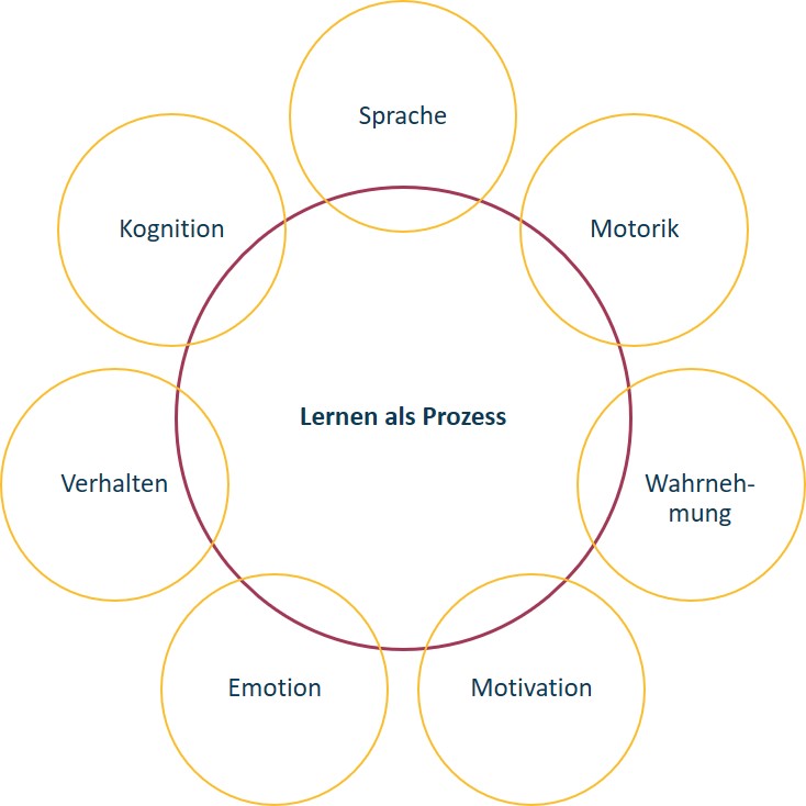 Diagramm, das „Lernen als Prozess“ zeigt, mit miteinander verbundenen Kreisen mit den Bezeichnungen „Sprache“, „Motorik“, „Wahrnehmung“, „Motivation“, „Emotion“, „Verhalten“ und „Kognition“.