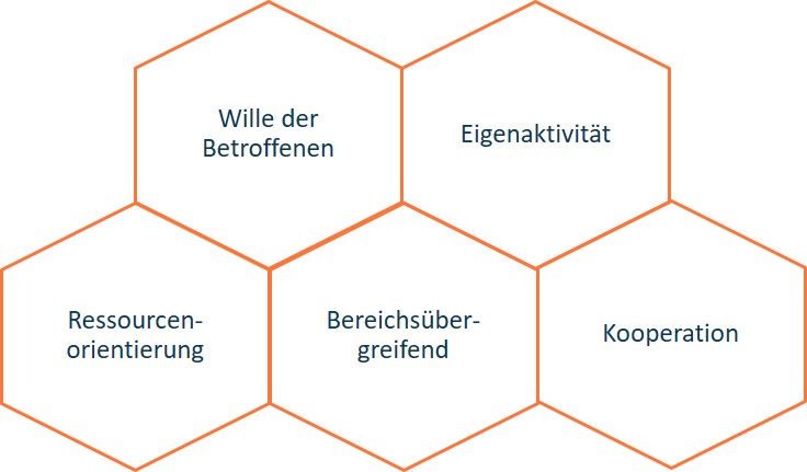 Fünf verbundene Sechsecke mit deutschem Text zu Organisationskonzepten, darunter „Wille der Betroffenen“ und „Kooperation“.