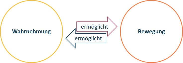 Diagramm mit zwei Kreisen mit der Aufschrift „Wahrnehmung“ und „Bewegung“, die durch Pfeile verbunden sind. Das Wort „ermöglicht“ weist darauf hin, dass Wahrnehmung Bewegung ermöglicht.