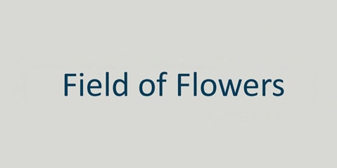 Text „Blumenfeld“ in blauer Serifenschrift zentriert auf hellgrauem Hintergrund.