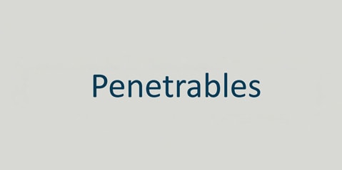 Der Text „penetrables“ wird in blauer Schrift auf einem einfachen hellgrauen Hintergrund angezeigt.