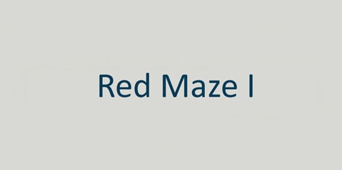 Text auf einem einfachen Hintergrund mit der Aufschrift „Red Maze I“ in blauer Schrift.