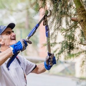 Ein älterer Mann schneidet im Freien mit einer Gartenschere einen Ast ab. Er trägt eine Mütze und Handschuhe.
