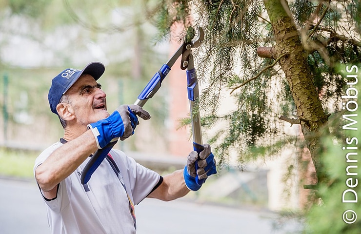 Ein älterer Mann schneidet im Freien mit einer Gartenschere einen Ast ab. Er trägt eine Mütze und Handschuhe.