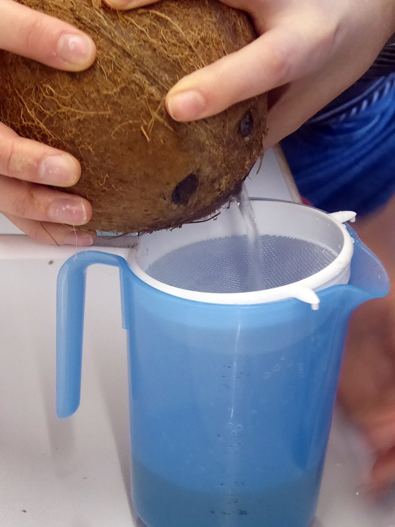 Eine Person gießt Kokoswasser durch ein Sieb in einen blauen Krug.