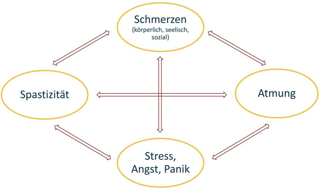 Ein Diagramm zeigt einen Kreislauf mit vier miteinander verbundenen Elementen: Schmerzen (körperlich, seelisch, sozial), Atmung, Stress, Angst, Panik und Spastik. Pfeile zwischen diesen Elementen weisen auf eine kontinuierliche, wechselseitige Beziehung hin.
