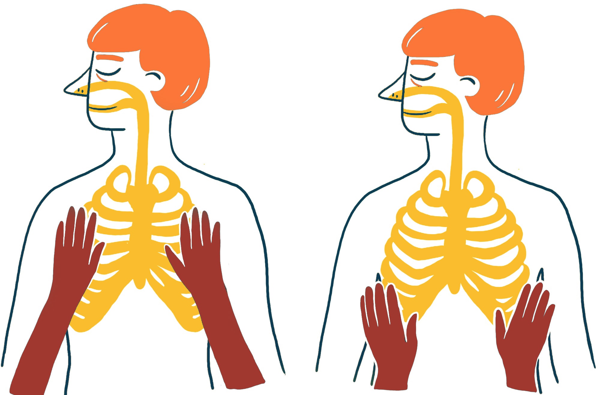 Kontaktatmung: Abbildung von zwei nebeneinander stehenden menschlichen Figuren. Beide Figuren haben sichtbare Skelettstrukturen. Im linken Bild liegen zwei Hände auf den Rippen und der oberen Brust. Im rechten Bild liegen die Hände tiefer, näher am Bauchbereich.